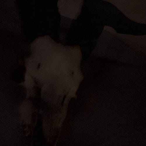 STRANGULATION – Strangulation DIGI-CD